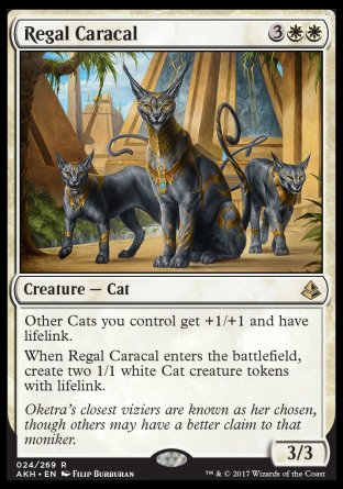 '-Regal Caracal
Creature â€” Cat
Other Cats you control get +1/+1 and have lifelink.
When this creature enters, create two 1/1 white Cat creature tokens with lifelink.
3/3