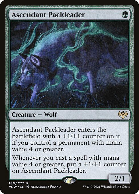 Ascendant Packleader
Creature — Wolf
This creature enters with a +1/+1 counter on it if you control a permanent with mana value 4 or greater.
Whenever you cast a spell with mana value 4 or greater, put a +1/+1 counter on this creature.
2/1