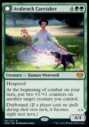 '-Avabruck Caretaker
Creature â€” Human Werewolf
Hexproof
At the beginning of combat on your turn, put two +1/+1 counters on another target creature you control.
Daybound
4/4
Hollowhenge Huntmaster
 Creature â€” Werewolf
Hexproof
Other permanents you control have hexproof.
At the beginning of combat on your turn, put two +1/+1 counters on each creature you control.
Nightbound
6/6