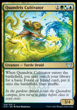 Quandrix Cultivator
Creature — Turtle Druid
When this creature enters, you may search your library for a basic Forest or Island card, put it onto the battlefield, then shuffle.
3/4