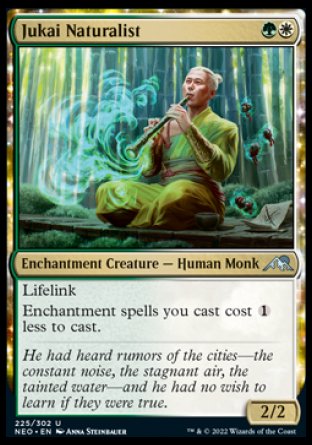Jukai Naturalist
Enchantment Creature — Human Monk
Lifelink
Enchantment spells you cast cost %1 less to cast.
2/2