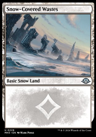 '-
Snow-Covered Wastes
Basic Snow Land
%T: Add %C.