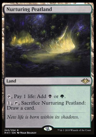 '-Nurturing Peatland
Land
%T, Pay 1 life: Add %B or %G.
%1, %T, Sacrifice this land: Draw a card.