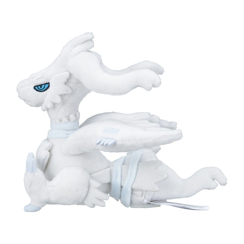 Reshiram (Pokémon fit)