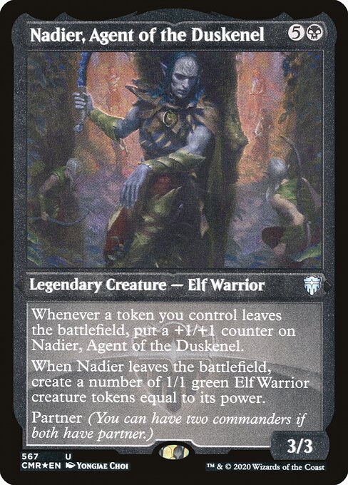 Nadier, Agent of the Duskenel
Legendary Creature — Elf Warrior
Whenever a token you control leaves the battlefield, put a +1/+1 counter on Nadier.
When Nadier leaves the battlefield, create a number of 1/1 green Elf Warrior creature tokens equal to its power.
Partner (You can have two commanders if both have partner.)
3/3