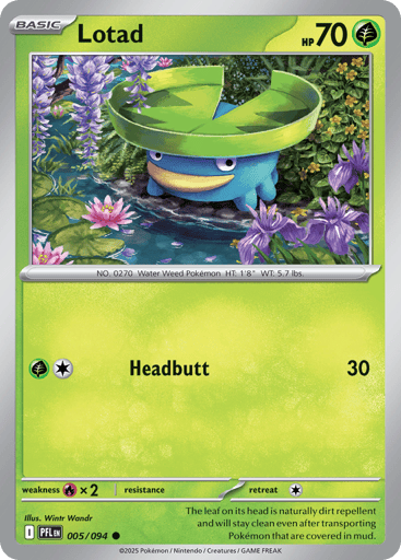 Lotad
Phantasmal Flames
Product Details
Card Number / Rarity:005/094 / Common
Card Type / HP / Stage:Grass / 70 / Basic
Attack 1:[GC] Headbutt (30)
Weakness / Resistance / Retreat Cost:Rx2 / / 1
Artist:Wintr Wandr